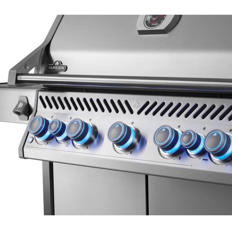 Rogue SE 625, con parrillas de Acero inoxidable - Imagen 5