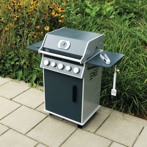 Barbacoa Napoleon para niños - Imagen 6